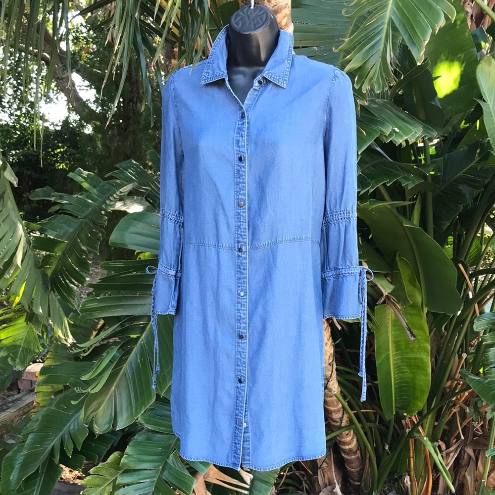 Express denim dress
